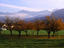 Orchards beneath Bavarian alps,Germany