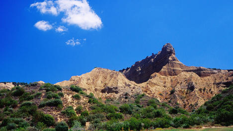 Image_6480-12
