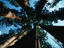Image_6484-51