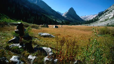Image_6484-66