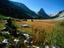 Image_6484-66