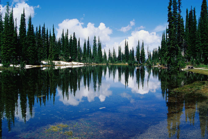 Reflections in Balsam Lake, Mt Revelstoke National Park.
