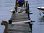 Rickety wooden jetty, Croatia