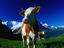Alpine meadow, First, Switzerland