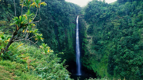 Akaka Falls State Park, Hawaii