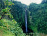 Waterfall in Akaka Falls State Park.