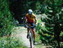 Mountain bike riding in the Rocky Mountains - Colorado