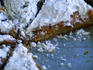 Bougatsa (custard pie).