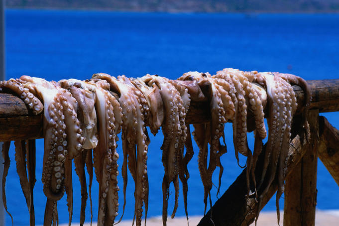 Octopus hanging to dry, Plaka.