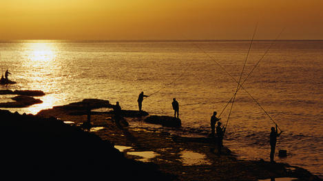 Image_6584-12