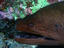 Image_6592-69
