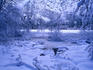 The icy beauty of a winter pond in the frozen Yosemite Valley landscape.