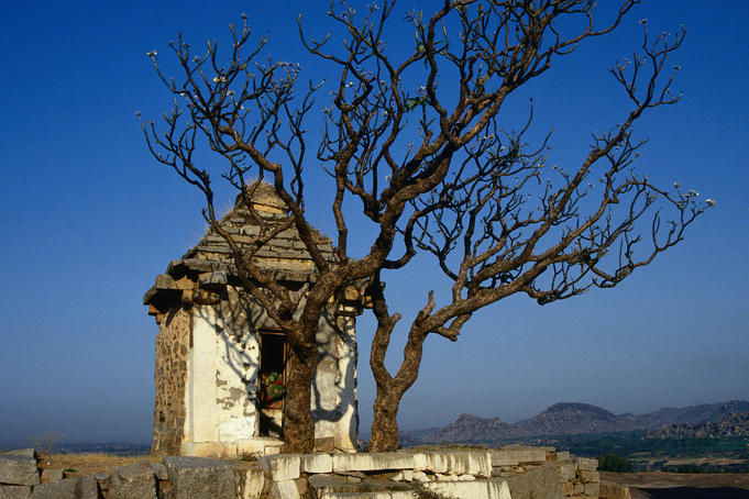 The burning bush - Hampi, Karnataka