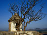 The burning bush - Hampi, Karnataka