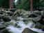 Yosemite Creek, Yosemite National Park