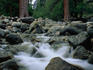 Yosemite Creek.
