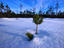 Image_6667-7