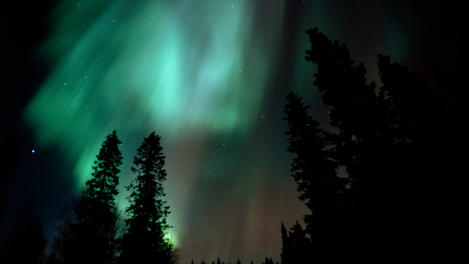 Image_6671-1