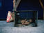 Child sleeping on street, Manila