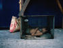 A child sleeping and living on the streets of Manila.