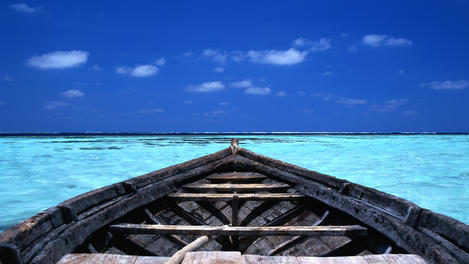 Image_67-101