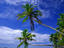 Image_67-3