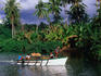 A boat travels by the lushly vegetated shoreline at Taipivai.