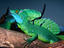 Image_6794-10