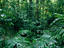 Image_6794-111