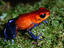 Image_6794-40