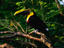 Image_6794-84