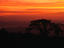 Monteverde, Monteverde & Santa Elena
