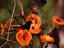 Image_6794-93
