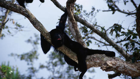 Image_6795-27