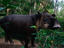 Image_6795-7
