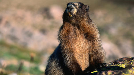 Image_6823-22