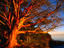 Image_6826-25