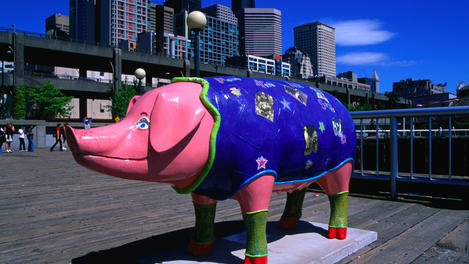 Image_6829-9