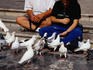The Plaza de la Virgen is a popular spot in the summer for people and pigeons.
