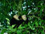 Image_692-1