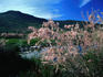 Lesvos (Mytilini)