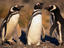 Image_6983-3