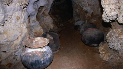 Image_6984-4