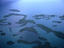 Mangrove islands, Belize