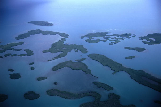 Aerial view of the Mangrove islands on the south coast of Belize.