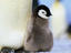 Image_699-14
