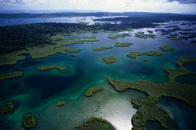 An aerial view of the mangroves of Bastimentos Marine Park.