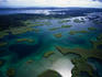 An aerial view of the mangroves of Bastimentos Marine Park.
