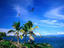 Marine bird sanctuary, Bocas Del Toro