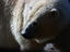 Image_7008-24